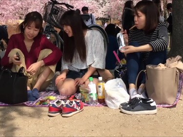 【癒しのオアシス181】ぴちぴち！！可愛すぎる３人組のお花見風景